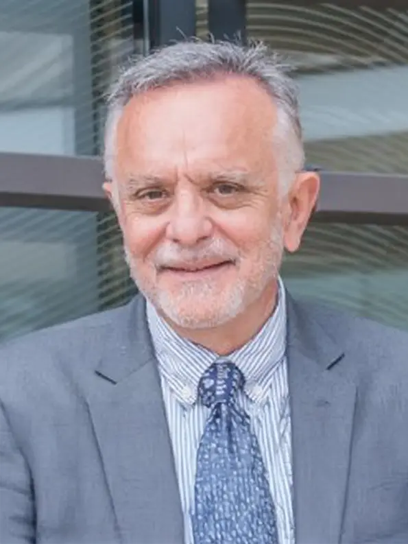 Manel del Castillo Rey